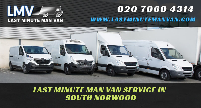 About Last Minute Man Van Company